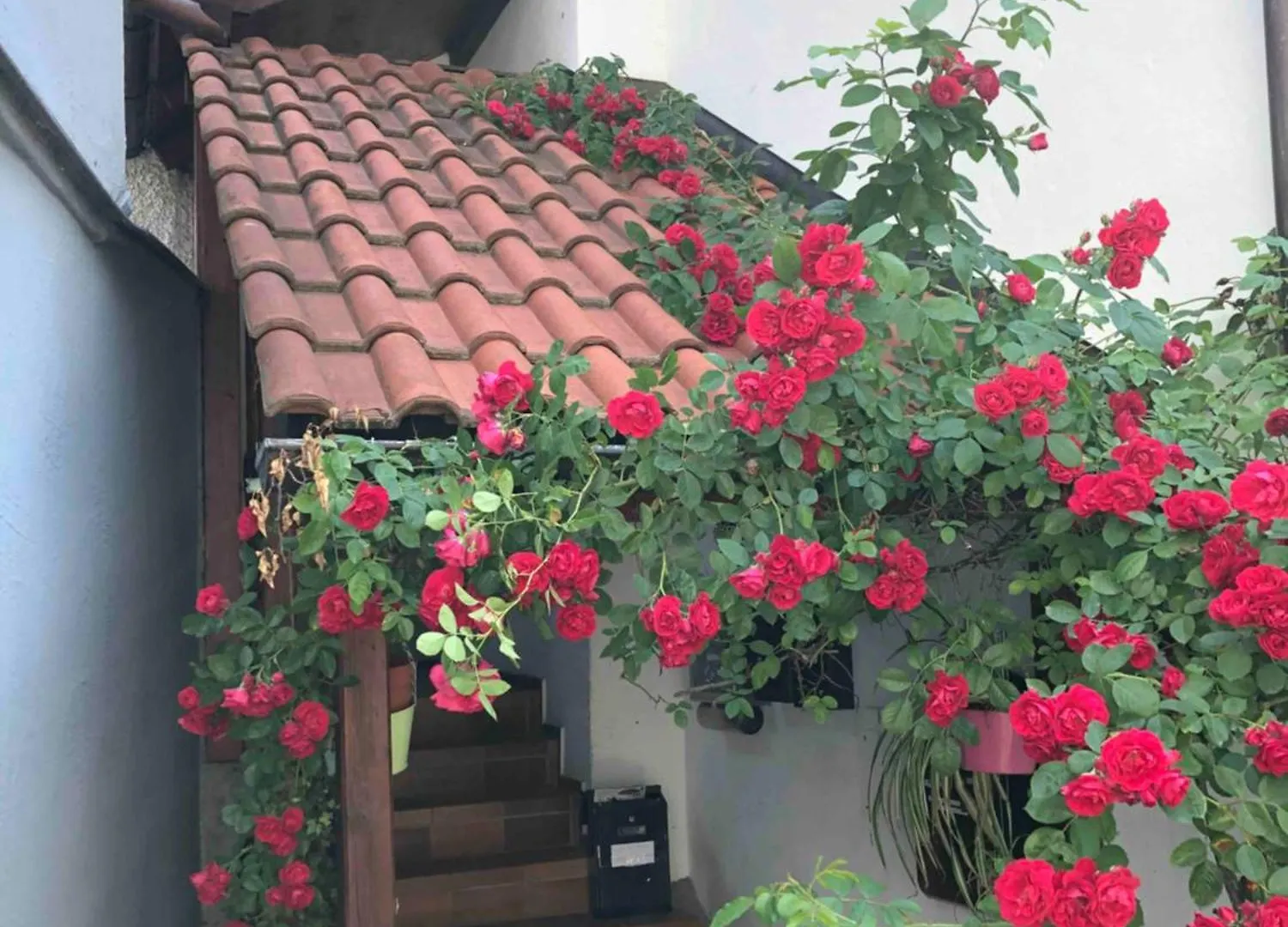 Im Rosenhof Apartment Lindau  Germany